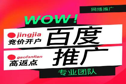 热门SEM运营公司案例深度剖析